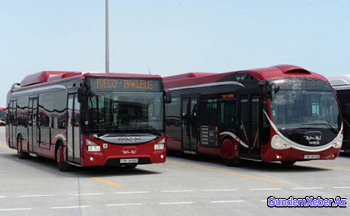 “Baku Bus” MMC-dən əlillərə “xor münasibət”