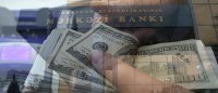 “BANK SEKTORU ÇÖKÜB, 10 BANK BAĞLANACAQ!” - Dollar oyunu iqtisadiyyatı məhv edir