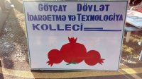 Danışır Göyçay Dövlət İdarəetmə və Texnologiya kollecinin direktoru! - VİDEO