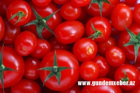 Rusiya-Türkiyə pomidor anlaşması azərbaycanlı fermerləri “vurdu”