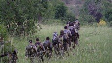 PKK bitir: Türkiyə daxilində PKK-lı TERRORÇULARIN SAYI