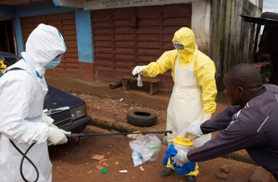 Ebola virusunu yayan heyvanın adı bəlli oldu