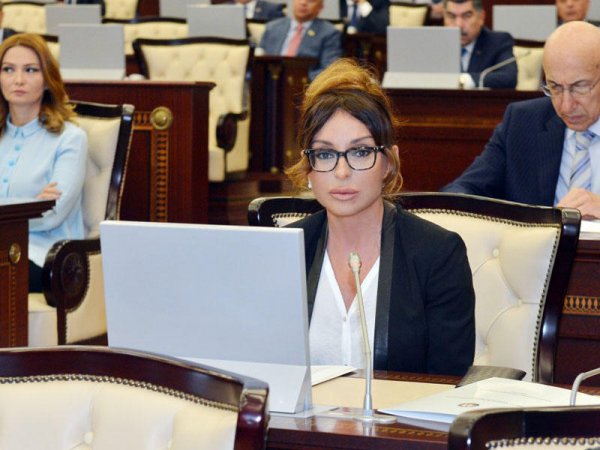 Milli Məclis Mehriban Əliyevanın müraciəti ilə amnistiya aktı qəbul edib