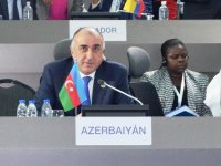 "Sürətli iqtisadi inkişaf Azərbaycanı donor ölkəyə çevirib"