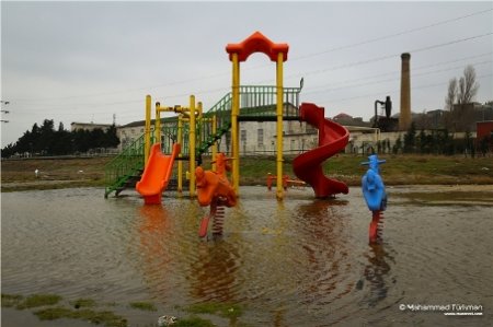   Ramanada 2 il öncə salınan parkda indi mal-qara otarılır - FOTOLAR, VİDEO