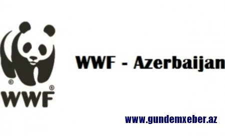 "WWF Russia" Dağlıq Qarabağda Azərbaycan vasitəsilə fəaliyyət göstərmək istəyir