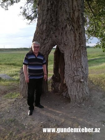 Eldar Namazovun uşaqlığının ağacı - NOSTALJİ