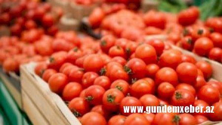 Koronavirusa görə Azərbaycan pomidorunun qiyməti 15 manata qalxdı