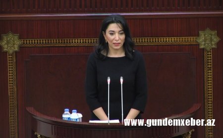 Milli Məclis Ombudsmanın məruzəsini qəbul etdi - YENİLƏNİB