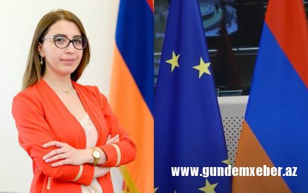 Ermənistanın ombudsmanı istefa verib