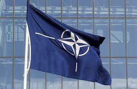 NATO sursatların inventarını keçirib