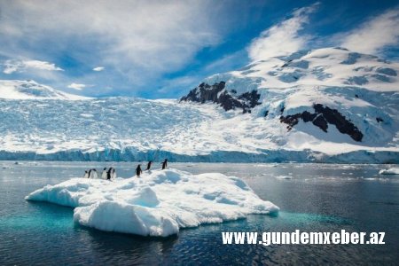 Daha bir fəlakət anonsu: Antarktidada rekord miqdarda buz əriyib