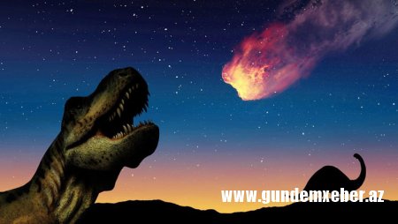 Dinozavrları məhv edən asteroid düşməsi zamanı tarakanlar necə sağ qalıb?