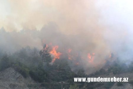 Türkiyədə meşə yanğınları yaşayış yerlərinə çatdı: Təxliyəyə başlanıldı