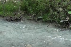 Qubanın Alpan kəndində 38 ildir su problemi həll yolunu tapmır - VİDEO