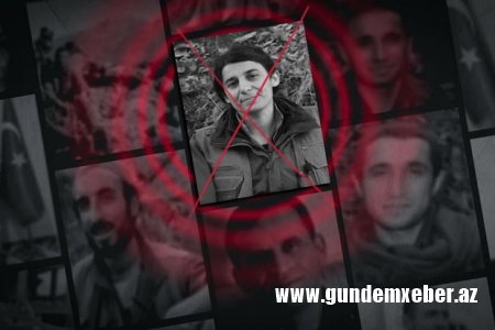 MİT gəncləri aldadaraq PKK-ya cəlb edən terrorçunu məhv etdi
