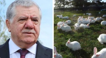 "Milyarderlər İttifaqı"nın sabiq başçısı Abbas Abbasovun dovşan biznesi...