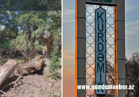 Kürdəmirdə "yaşıl soyqırım" aktı törədilib - VANDALİZM