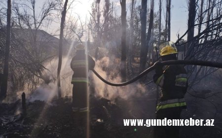 Babək, Culfa və Naxçıvanda yanğınlar olub