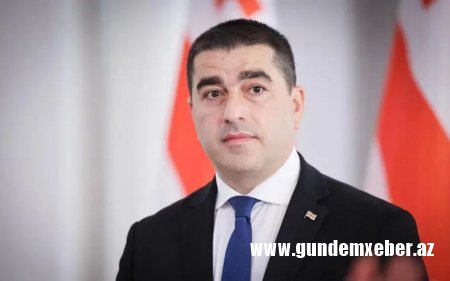 Gürcüstanın parlament sədri Aİ ölkələrinin səfirliklərini zorakılığı təşviq etməməyə çağırıb