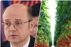 Əmisi oğlu ilə “parnik” salan nazirin pulu batdı - Pərviz Şahbbazovla qohumu arasında qarşıdurma